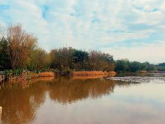 -西昌邛海湿地