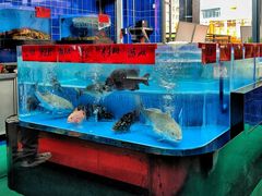 -明本海鲜大排档·鱼生海鲜烧烤宵夜(陈家祠店)
