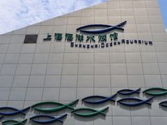 -上海海洋水族馆