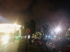 -杭州奥体中心-体育场