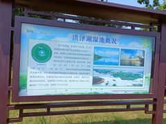 -泗洪洪泽湖湿地景区