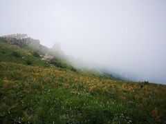 -白草畔自然风景区