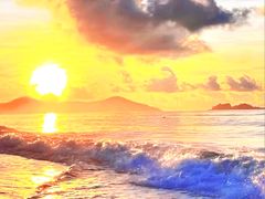 -波记美食店·现捞海鲜