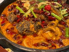 -老板恋上鱼(印象城店)