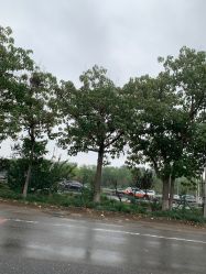 -HEYAN长风荷妍专业脱毛美肤

