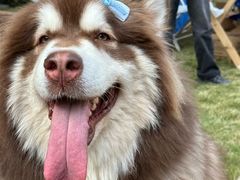 -上海神旺大酒店