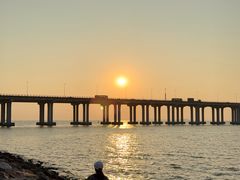 -宝安西湾红树林湿地公园