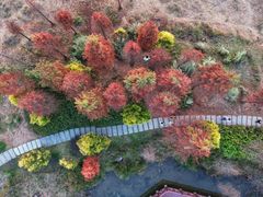 -广州市石门国家森林公园