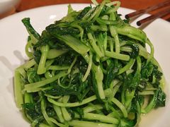 鸡毛菜-ZOE·S梓园