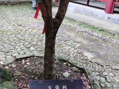 -太湖源风景区