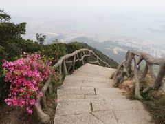 -梧桐山风景名胜区