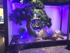 -绿茶餐厅(成都大悦城店)