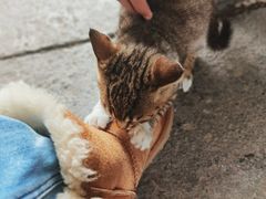 -潜口民宅博物馆