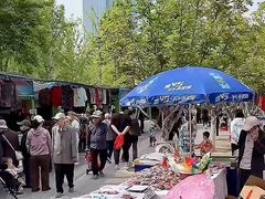 -西海子公园