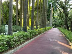 -深圳华侨城医院