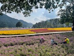 -广州市石门国家森林公园
