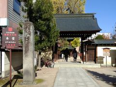 -医王山·飞騨国分寺
