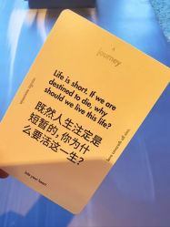 -福朋喜来登酒店·宴会厅