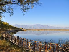 -野鸭湖国家湿地公园