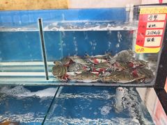 -渔民船说·北塘海鲜·天津菜·海肠捞饭(北塘古镇店)