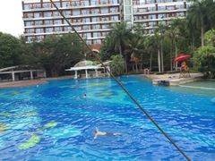 iphone_upload_pic-深圳华侨城洲际大酒店