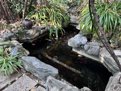 -谷咖啡·鲜花绿植花园餐厅