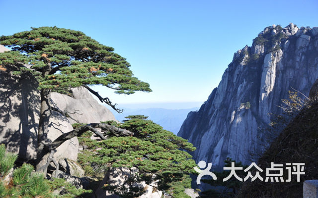 白鹅岭黄山图片 - 第76张