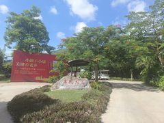 -亚龙湾国际玫瑰谷