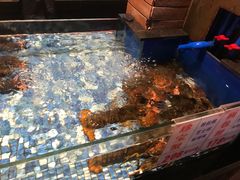 -广东道至正餐厅(区庄店)