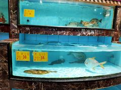 -益健海鲜大食坊(拱北口岸店)