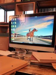 -小熊维尼高端儿童摄影(宝安旗舰店)