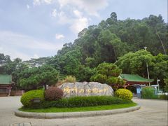 -顺峰山公园