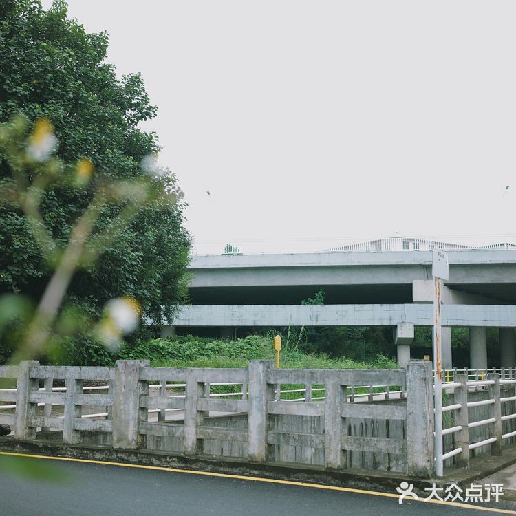 马峦北路.深圳又一条小众的日系片公路！