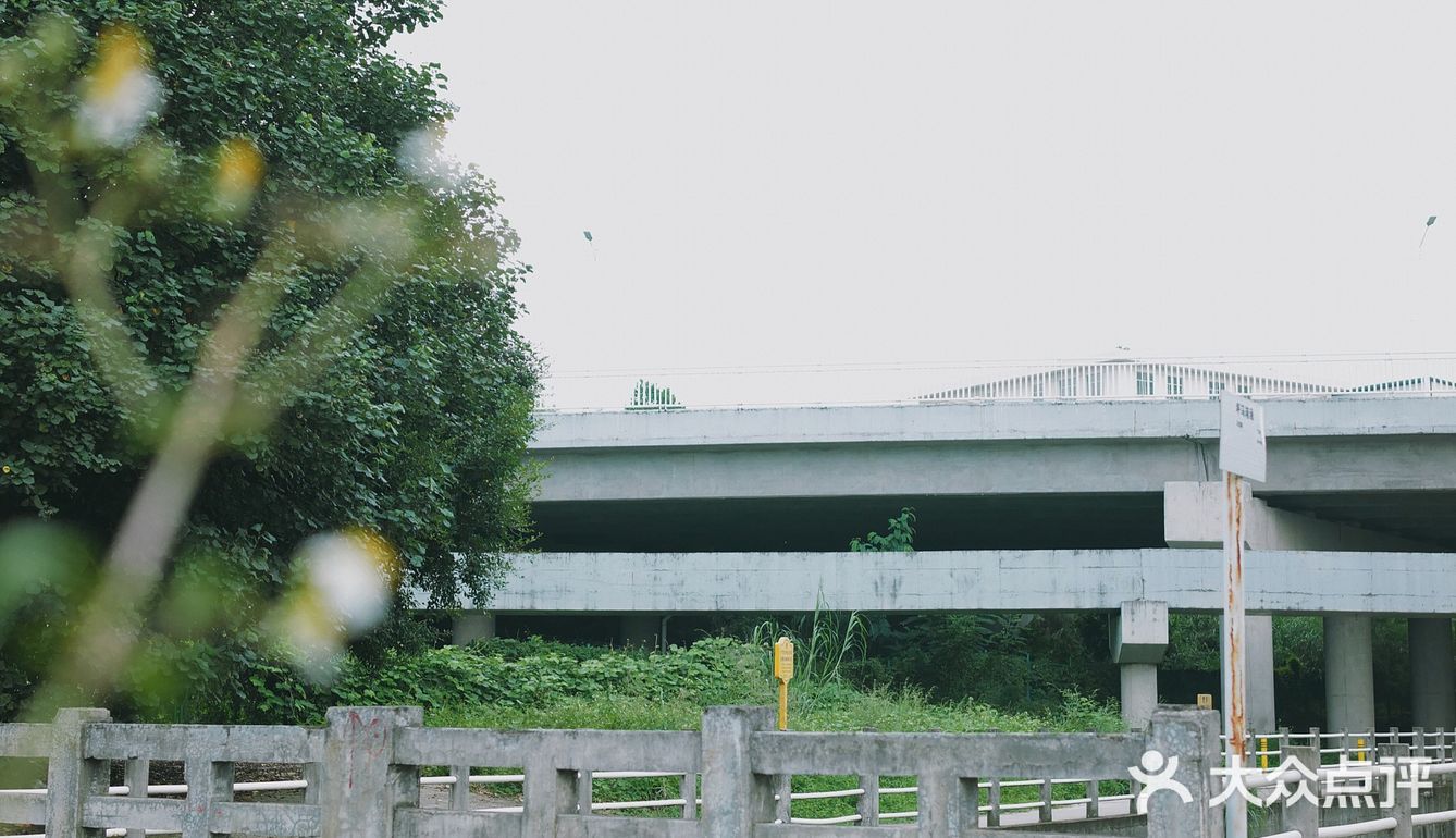 马峦北路.深圳又一条小众的日系片公路！