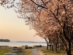 -长广溪湿地公园
