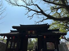 -江心屿景区
