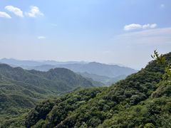 -大岭沟猕猴桃谷风景区