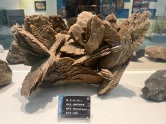 -金钉子远古世界景区