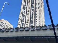 -王丽律师团队·专注婚姻家事(黄浦店)