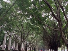 -南宁南湖公园