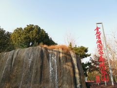 -合肥滨湖国家森林公园