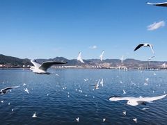 -海埂大坝