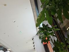 -DQ·蛋糕·冰淇淋(万象城店)
