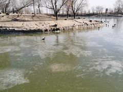 -盐城丹顶鹤湿地生态旅游区