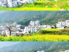 -婺源风景区