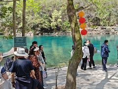 -石台牯牛降景区