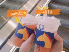 -春丽小马(济南恒隆广场店)