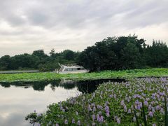 -白鹭湾湿地公园