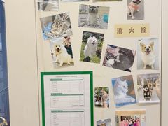 -爱妮康宠物医院·干细胞免疫细胞·肿瘤·心脏(张江店)