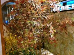 -首秀·四川料理(星耀101店)